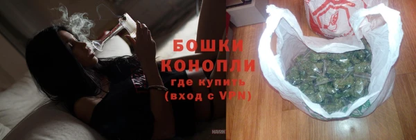 МДПВ Лиски