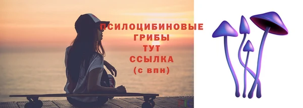 PSILOCYBIN Арсеньев