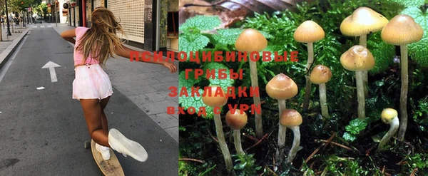 спайс Аркадак