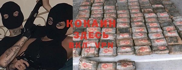 прущая мука Алзамай