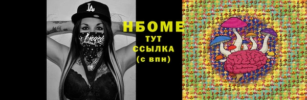 ПСИЛОЦИБИНОВЫЕ ГРИБЫ Липки