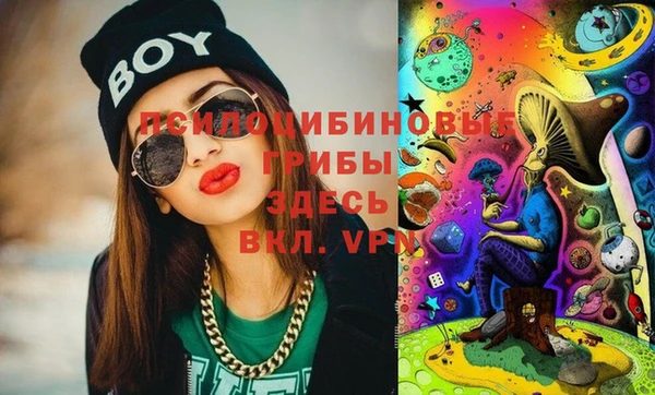 PSILOCYBIN Арсеньев